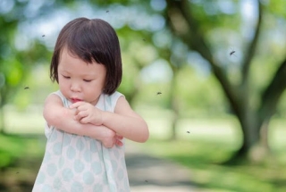 Bố mẹ cần làm gì khi trẻ bị côn trùng cắn?
